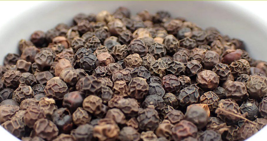 داستان فلفل؛حکایت یک حماسه 1 فلفل۱ - پایگاه اطلاع رسانی آژنگ