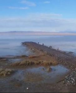 بازگشت حیات به تالاب نهبندان