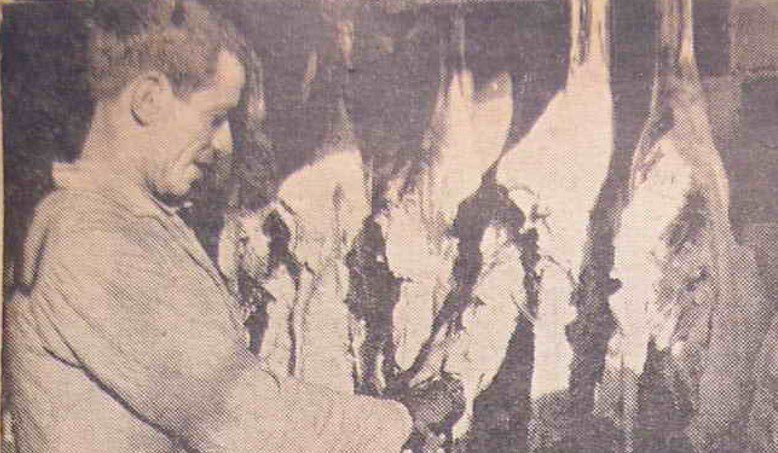 گوشت - پایگاه اطلاع رسانی آژنگ