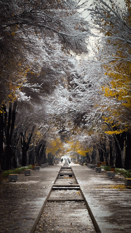 بارش برف برآثار تاریخی اصفهان 2 اصفهان777777 چهار باغ - پایگاه اطلاع رسانی آژنگ