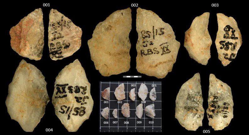 تیر سمی - پایگاه اطلاع رسانی آژنگ