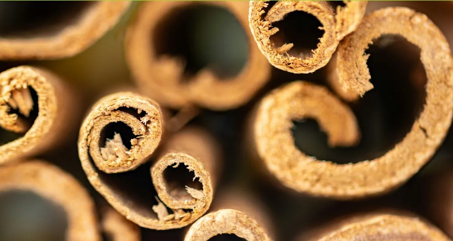 دارچین - پایگاه اطلاع رسانی آژنگ