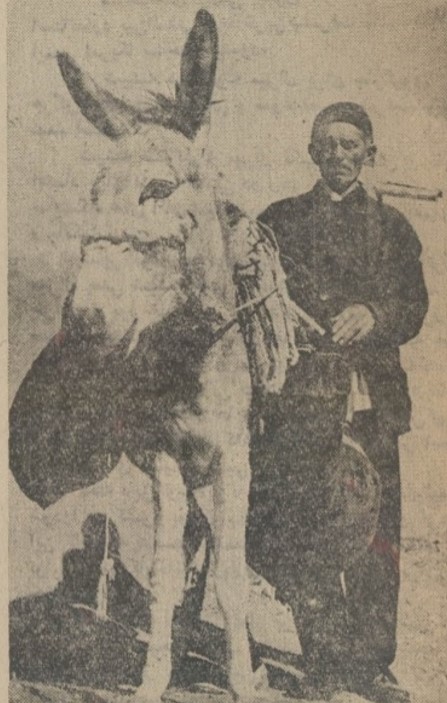 سقا - پایگاه اطلاع رسانی آژنگ