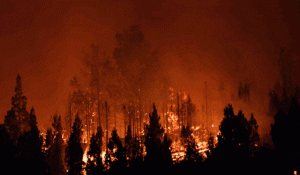 گرمای بی‌سابقه و آتش‌سوزی‌های گسترده در سراسر نیمکره جنوبی؛هشداری برای تابستان پیش رو