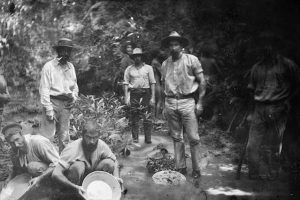 اولین تب طلا در استرالیا