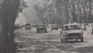 عاقبت انتقام از یک قمارباز حرفه ای