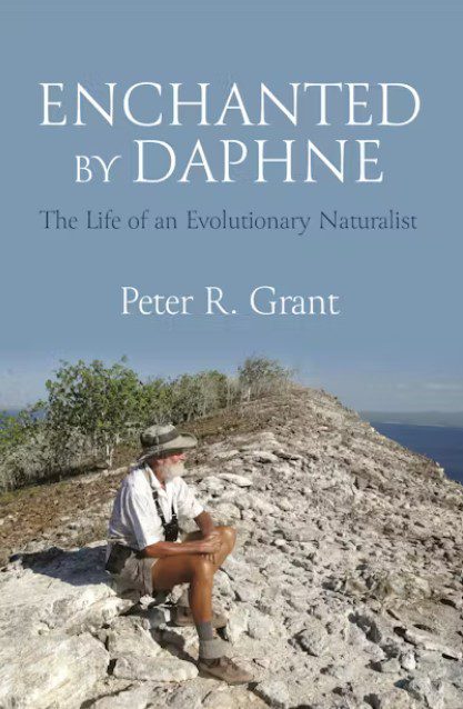 مسحور - پایگاه اطلاع رسانی آژنگ