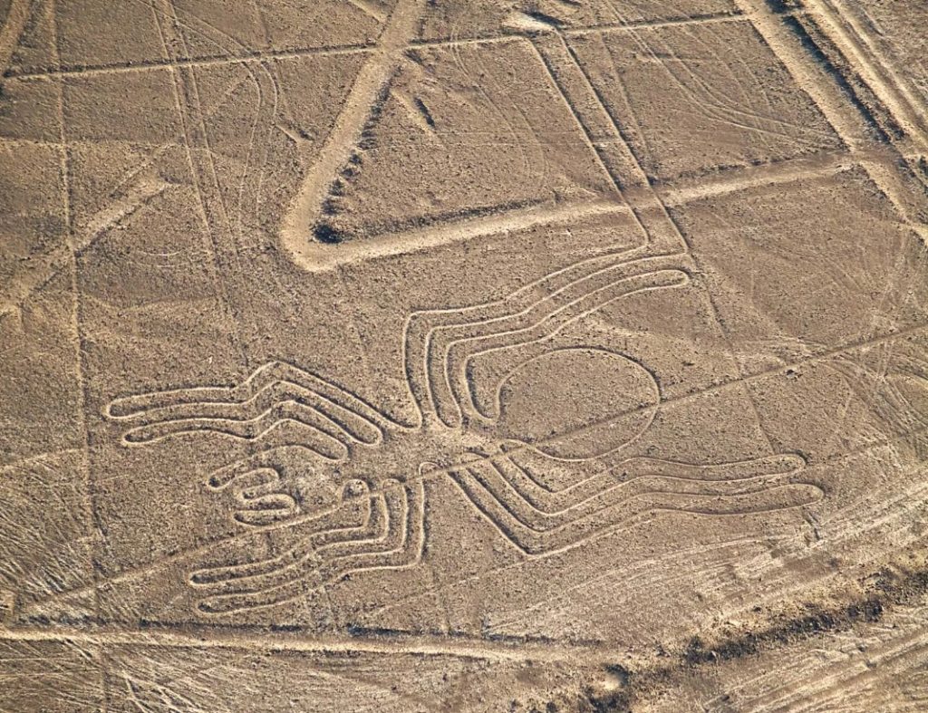 نازکا۱ - پایگاه اطلاع رسانی آژنگ