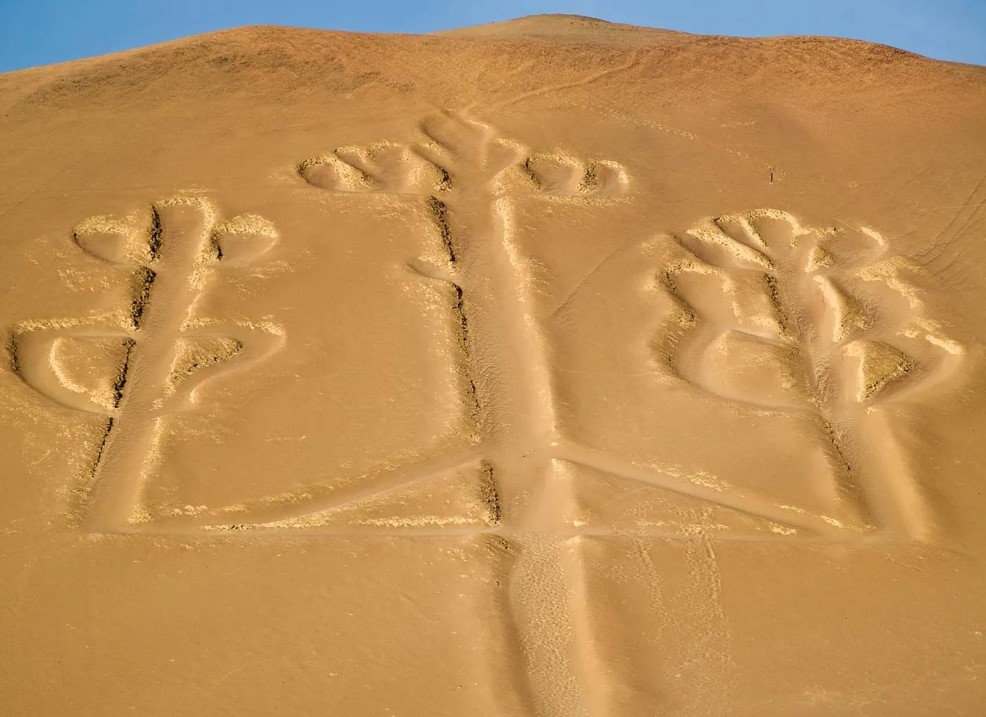 نازکا۲ - پایگاه اطلاع رسانی آژنگ