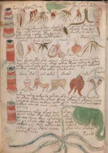 رمز گشایی ازنسخه خطی وُینیچ