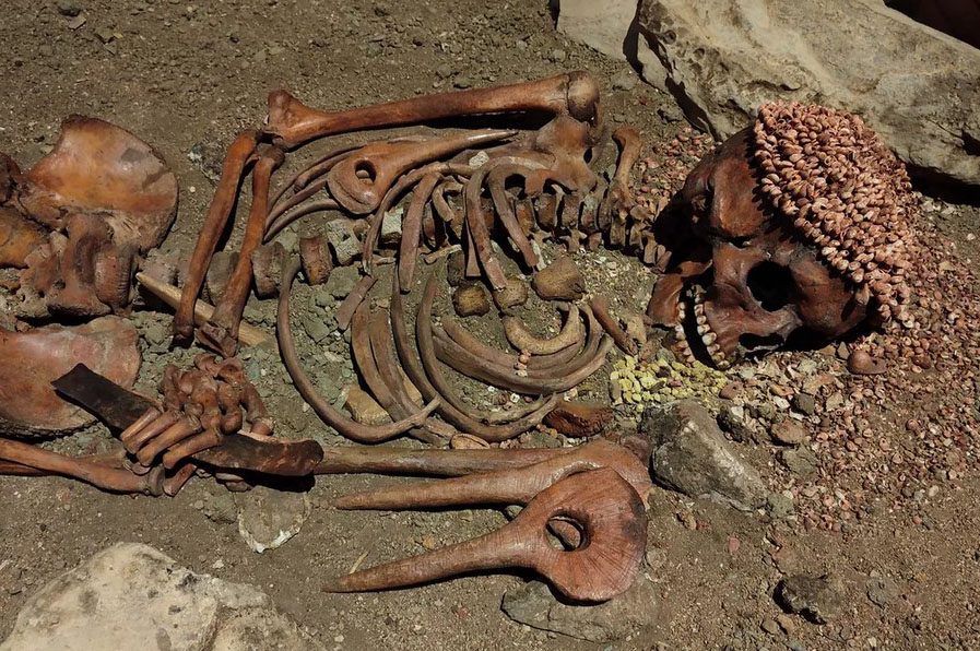 پارینه - پایگاه اطلاع رسانی آژنگ