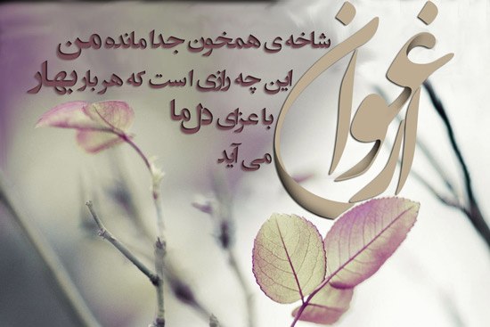 ارغوان - پایگاه اطلاع رسانی آژنگ