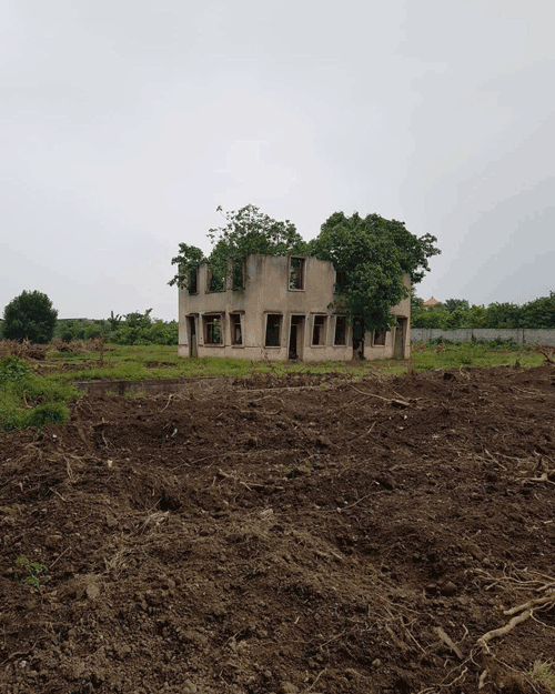 گزارش تصویری از آخرین وضعیت باغ و عمارت تاریخی مستوفیالممالک بابل 2 مستوفbbbbbbbbbbی2 - پایگاه اطلاع رسانی آژنگ