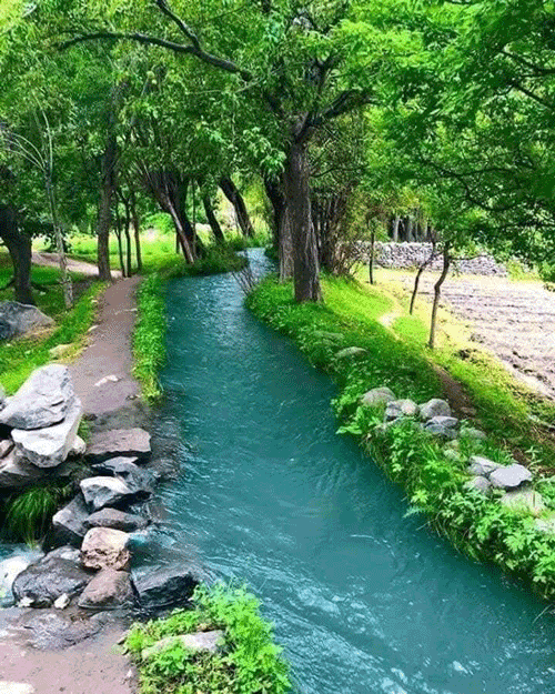 گزارش ویژگیهای زیباشناختی و طبیعی شهر صفا شهر 1 صفا شهر ۱۴۷ کیلومتری شیراز - پایگاه اطلاع رسانی آژنگ